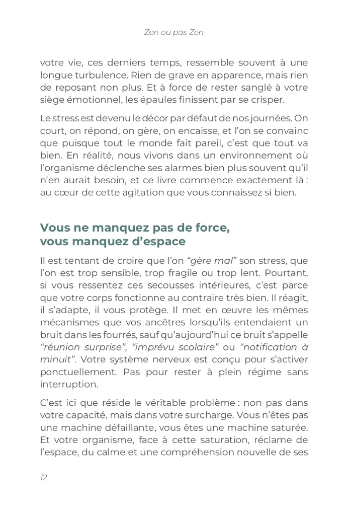 Zen ou Pas Zen p12.webp